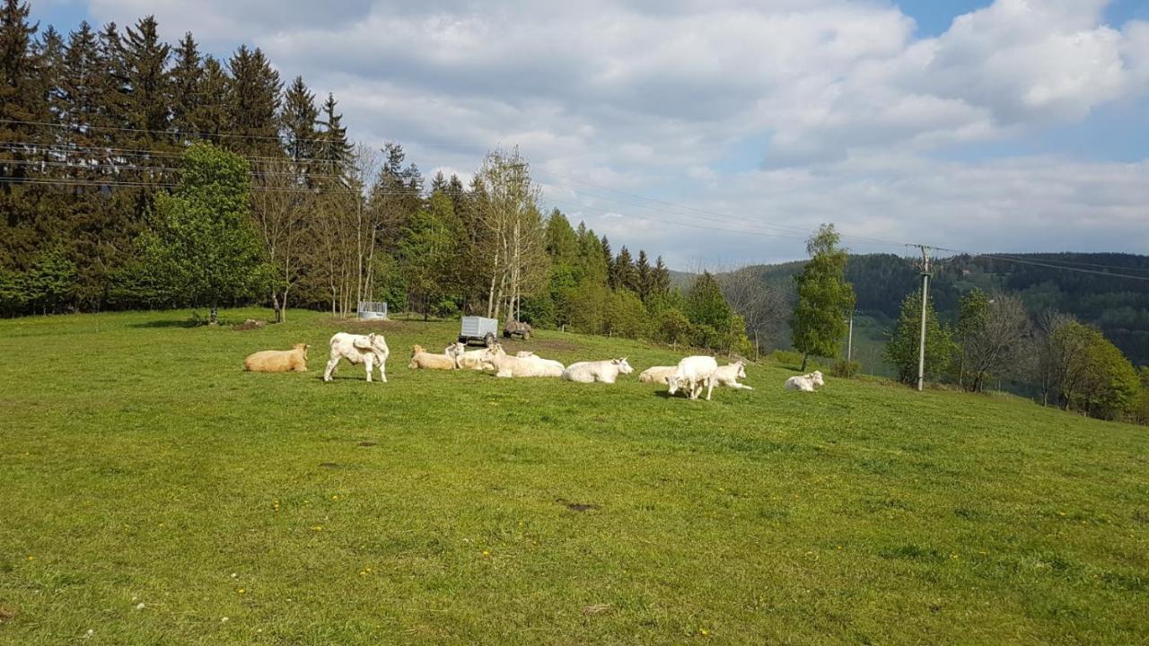 Apartman Rokytnice, Rokytno 20 Rokytnice nad Jizerou Bagian luar foto